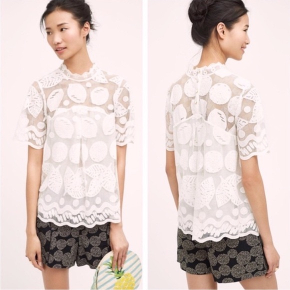HD in Paris Lily Lace Lemon Citrus Mock Neck Blouse Top - Picture 1 of 8